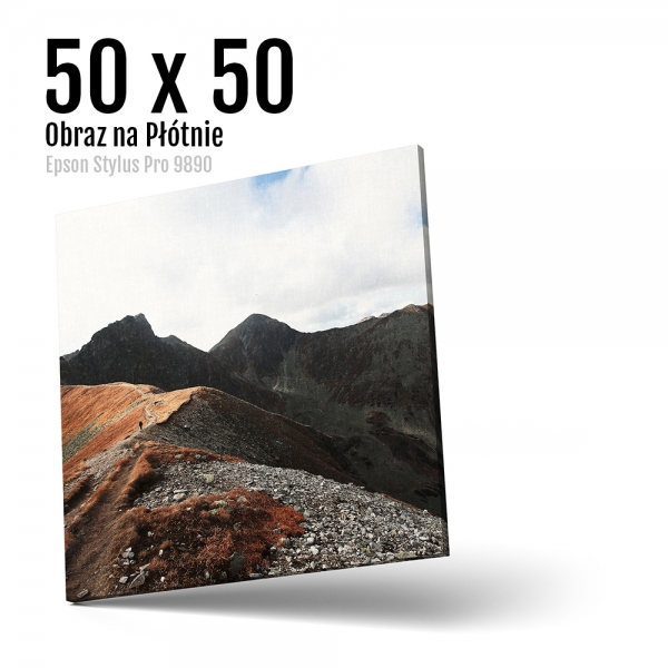 10 Foto obrazy na płótnie z własnego zdjęcia Online 50x50 cm