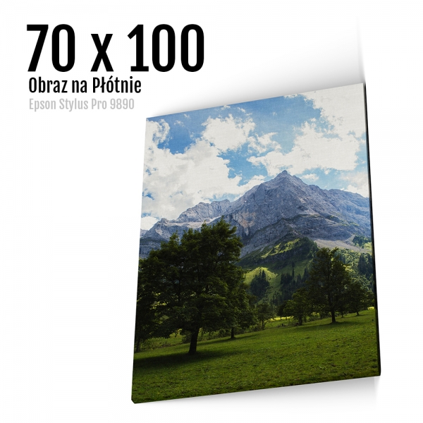 13 Foto obrazy na płótnie z własnego zdjęcia Online 70x100 cm