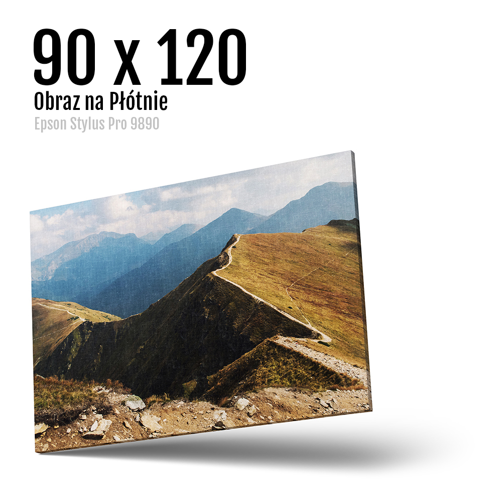 16 Foto obrazy drukowane na płótnie Odbitki Micuda 90x120 cm 16 Foto obrazy drukowane na płótnie Odbitki Micuda 90x120 cm