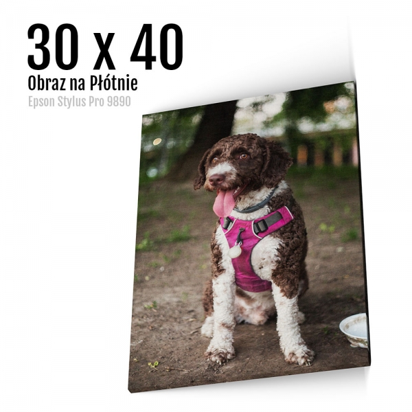 3 Foto obrazy na płótnie z własnego zdjęcia Online 30x40 cm