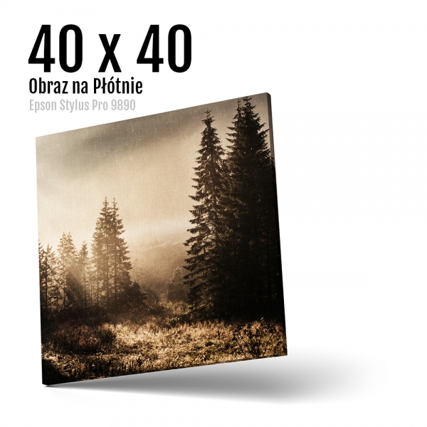7 Foto obrazy na płótnie z własnego zdjęcia Online 40x40 cm Kwadrat
