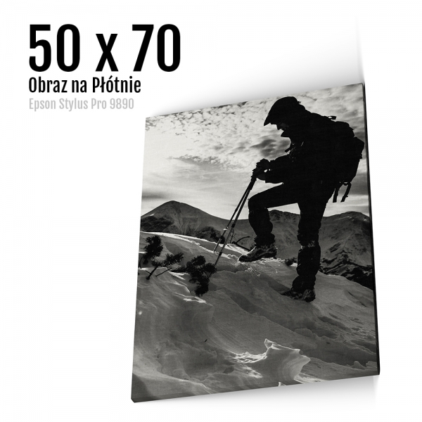9 Foto obrazy na płótnie z własnego zdjęcia Online 50x70 cm